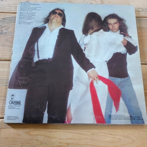 Vintage MEAT LOAF LP | Bat Out of Hell Vinyl Record - Picture 3 of 4